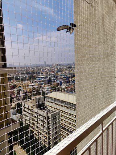 Pigeon net fitted on a building