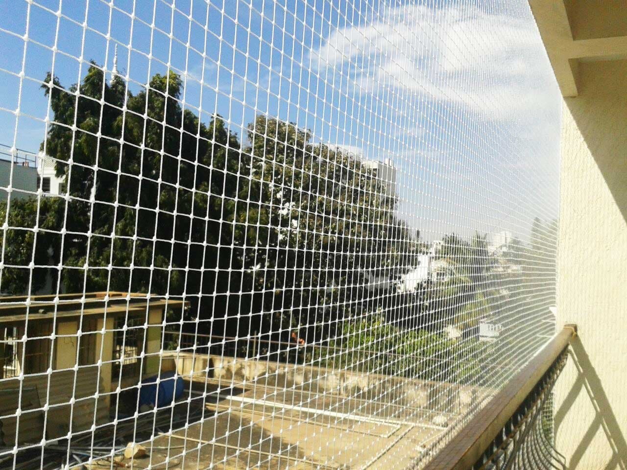Sparrow Protection Nets in Hyderabad