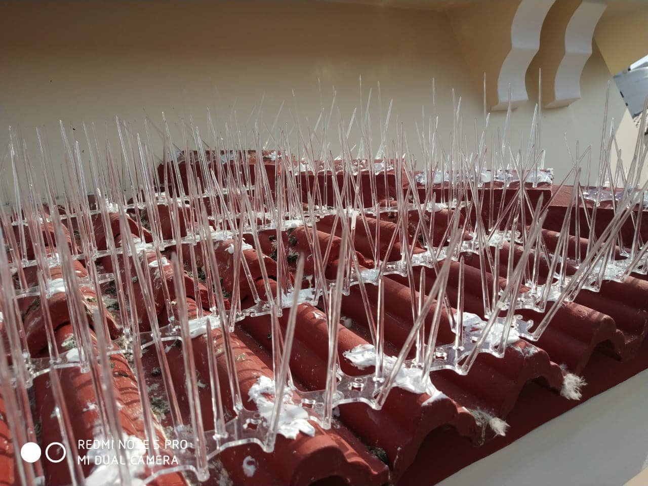 Bird Spikes in Hyderabad
