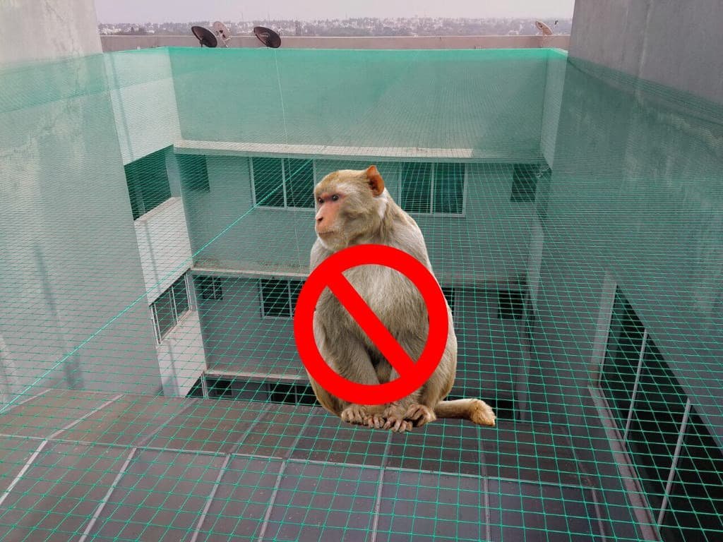 Monkey Prevention Nets in Hyderabad