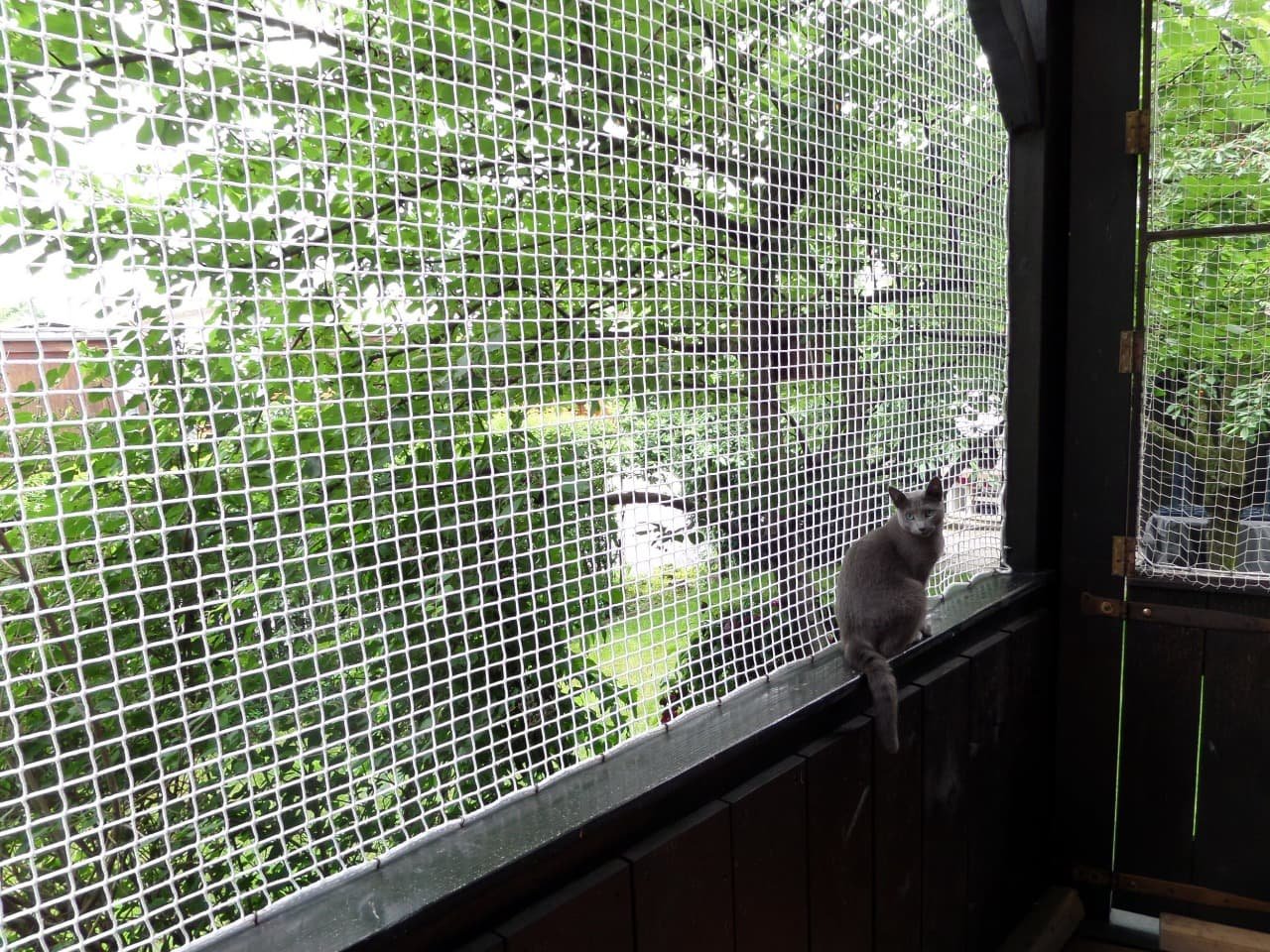 Pets Safety Nets in Hyderabad