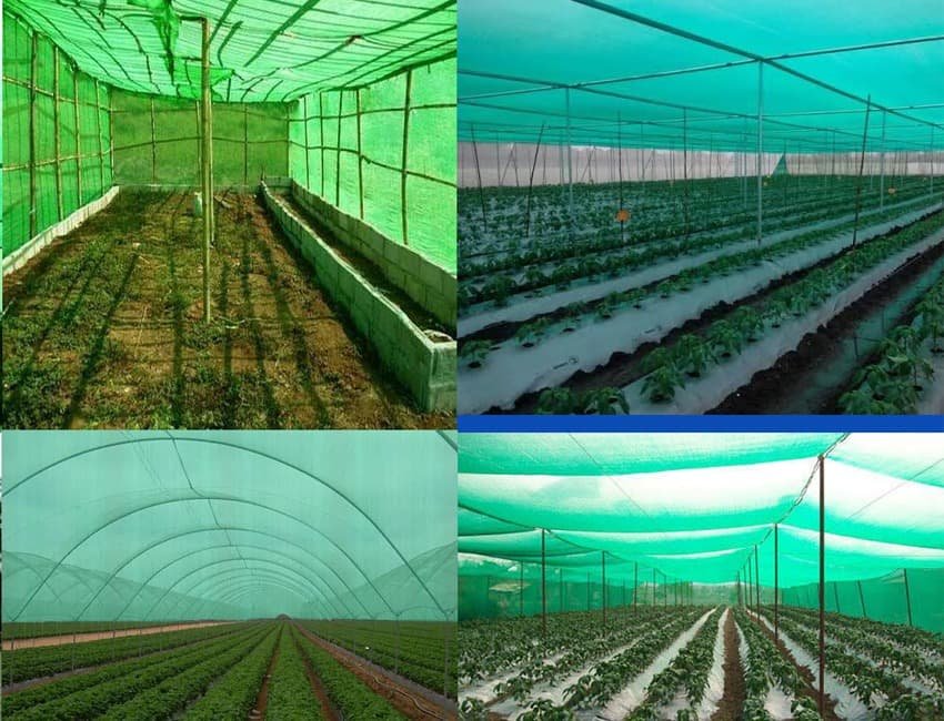 Shade Nets in Hyderabad
